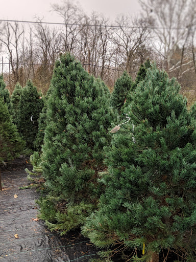 Winton Woods Garden Center and Florist (Shroyer Nursery) - Thumbnail