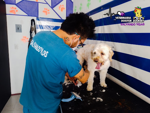 Veterinaria Dogtor Zookeet