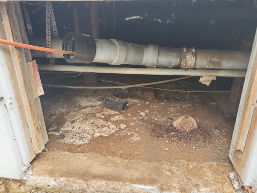 Rootless Drains - Visual