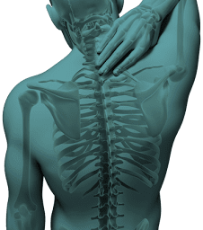 Photo n°1 de Deleigne Ostéopathe D. O. Paris Nation à Paris (Ostéopathe)