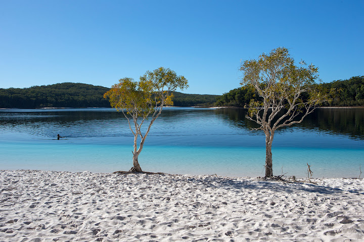Kingfisher Bay Resort by null