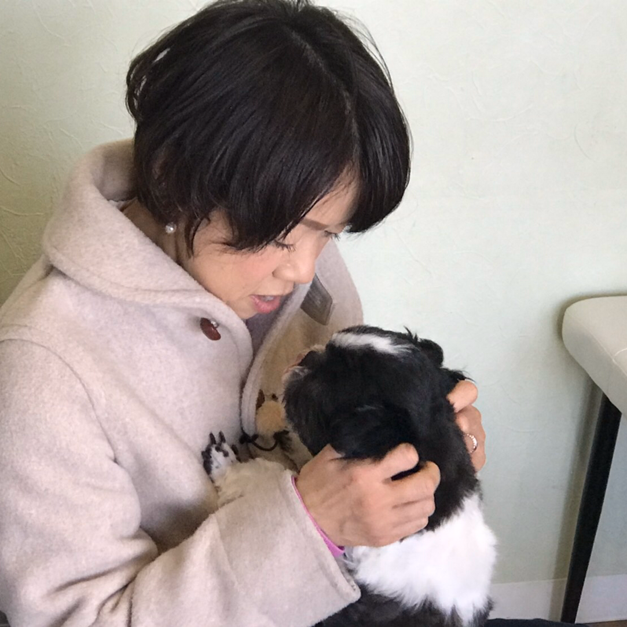 アニマルカフェ Milk 猫カフェ 爬虫類カフェ 犬カフェ カフェ