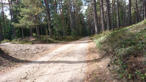 Lāčupītes dabas taka