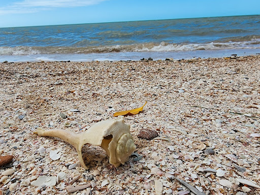 Punta Lastre - Visual