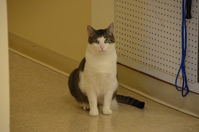Photos of Brown Veterinary Hospital