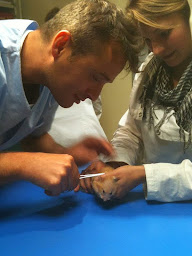 Photo n°18 de Clinique Vétérinaire Amivet des Drs. David Pelois et Stéphane Maquinay à Paris (Vétérinaire)