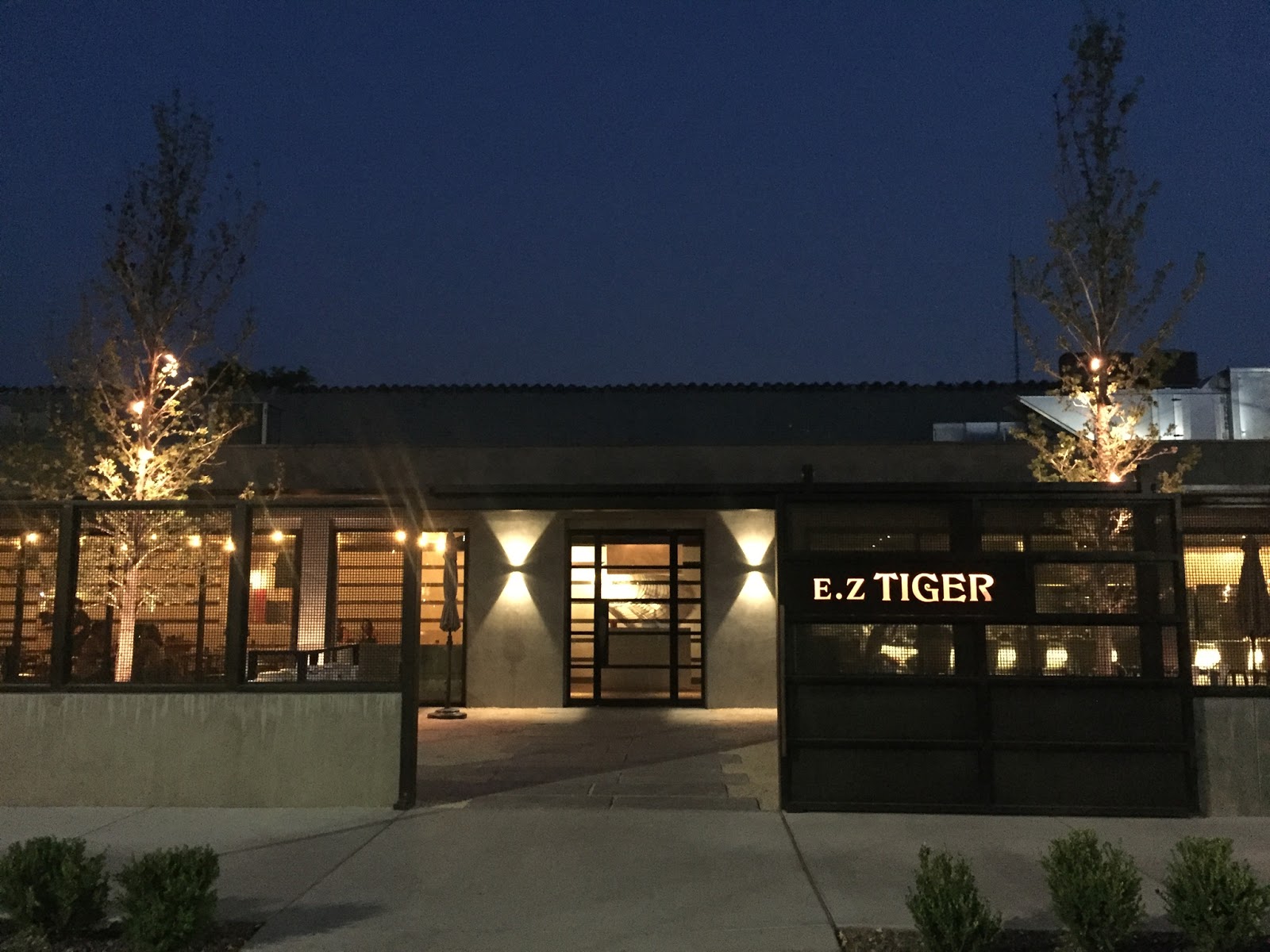 EZ Tiger — photo 4