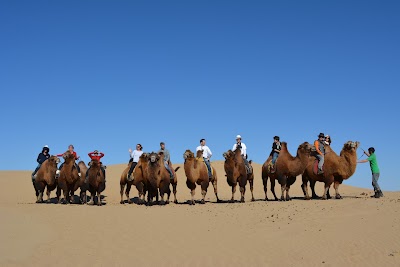 Photos of Mongolia Short Tours Agency