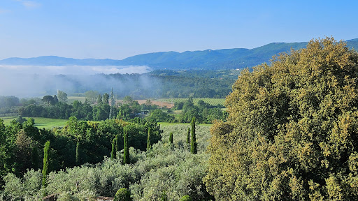 Il Palagio - Thumbnail