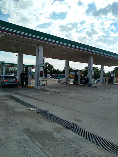 Servicio Agsa