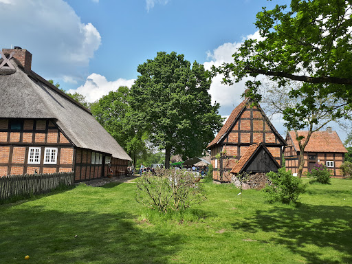Lilienthal - Visual
