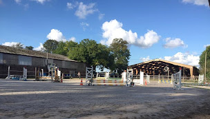 Photo n°7 de Centre équestre de la Ferme des Briques à Auchy-les-Mines (Centre équestre)