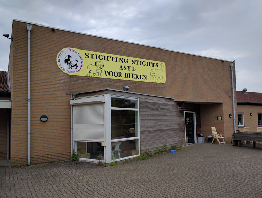 Dierenasiel Utrecht - Visual