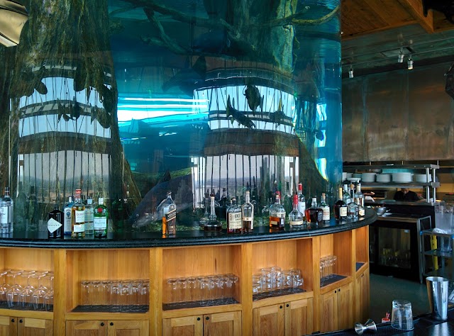 The Lookout at the Pyramid