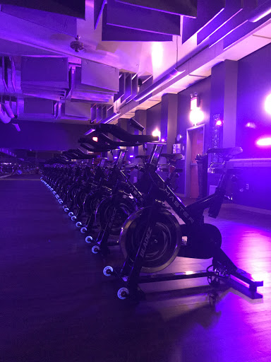 Black Orchid Yoga | Cycle - Thumbnail