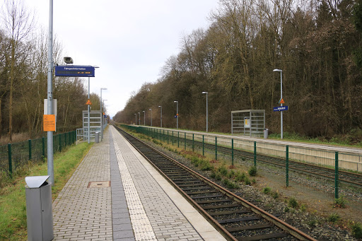 Meckenheim Kottenforst - Thumbnail