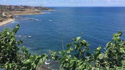 Photos of Restaurant Thala Ouldoune