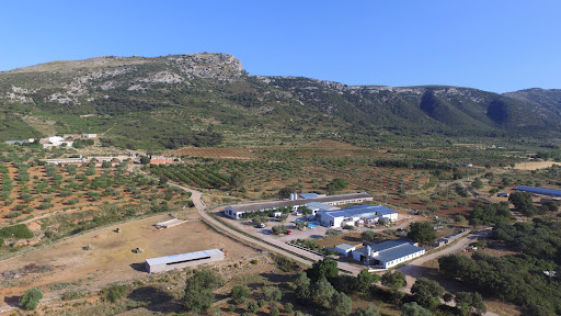 Masia Els Masets - Thumbnail