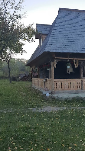 Opinii despre Casuta din Gradina în Breb - Hotel