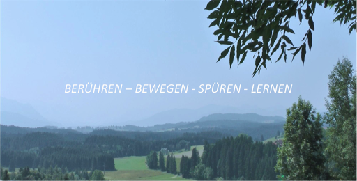Allgäuer Institut für Feldenkrais & Dynintegra - Thumbnail