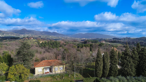 Kiddywinks , International Childcare & Forest School on the Lucca Hills