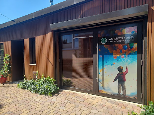 Mandroya Senses - Logopeda & Terapia SI (Bemowo)