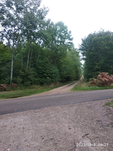 Randonnée dans la Forêt d'Othe - Thumbnail