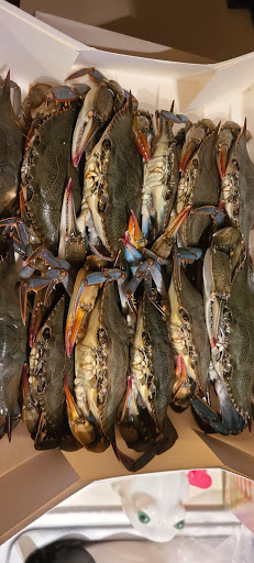 CRABS EXPRESS INC Gallery - United States