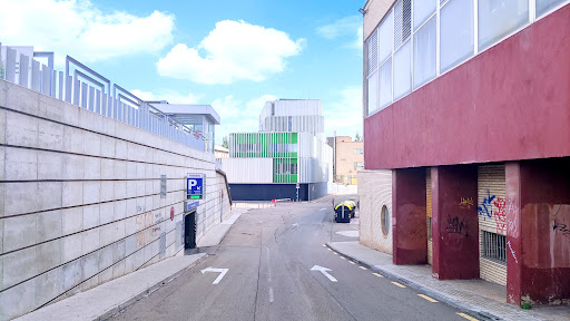 Centro de Investigación Biomédica de Aragón - Thumbnail