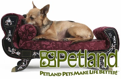 Petland Village of East Side