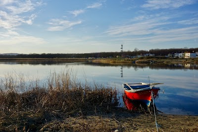 İğneada Floodplain Forests National Park