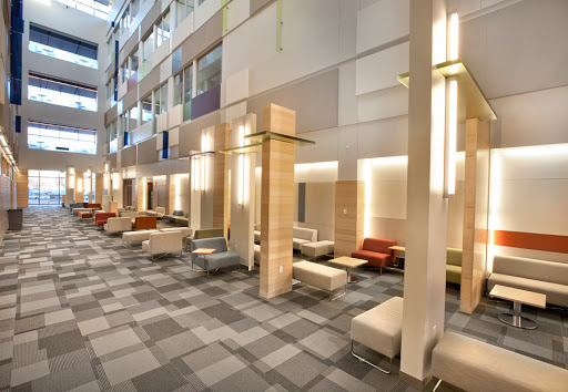 CSU Behavioral Sciences - Visual
