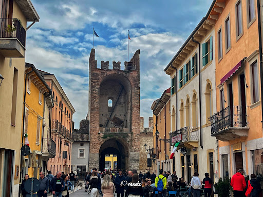 Soave - Visual
