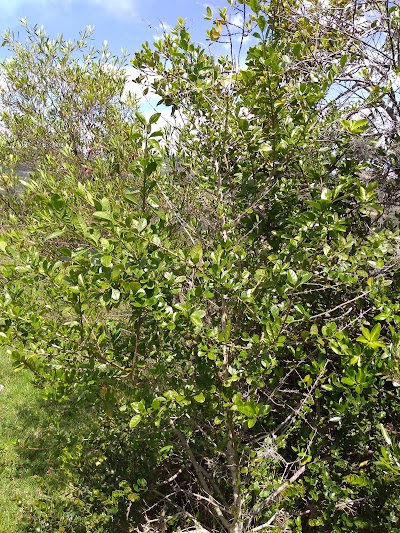 Photos of Finca La Trinidad