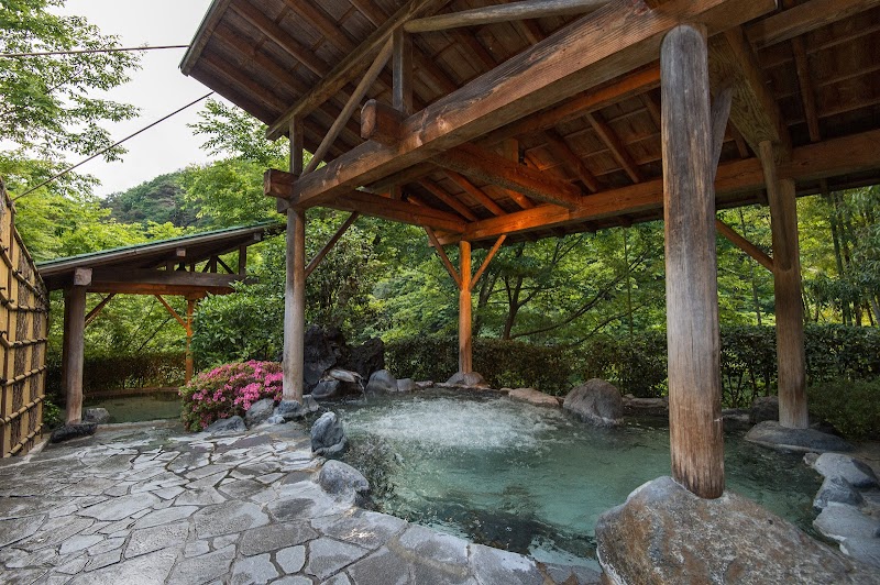 老神温泉 日帰り天然温泉 湯元華亭