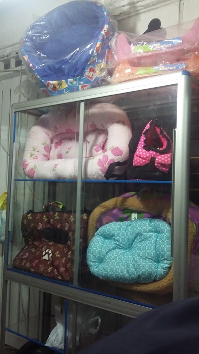 Photos of Your Pet's Corner