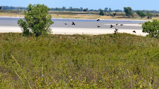 Quivira National Wildlife Refuge