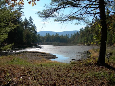 Braley Pond Day Use Area