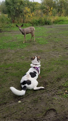 Gaetz Park - Thumbnail