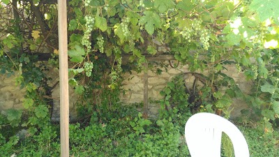 Photos of Gulen Konak