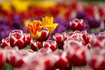 Фотография КРУГОЗОР канцтовары, Базарная площадь, Можга, Россия