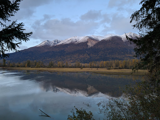 Swan View - Visual