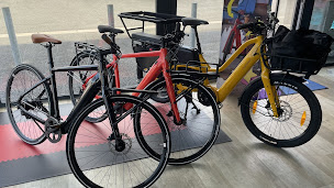 Photo n°33 de Giant Royan à Vaux-sur-Mer (Magasin de vélos d'occasion)