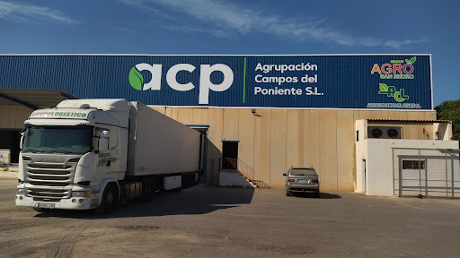 Agrupacion Campos del Levante - Thumbnail