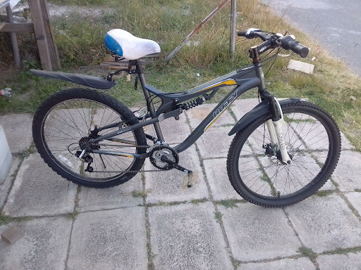 Taller de bicicletas sillas de ruedas daffy WB Gallery - Mexico