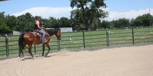 Lockewood Stables - Thumbnail