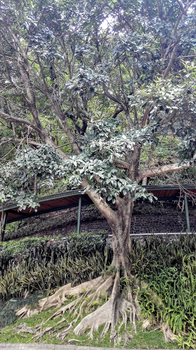Photos of Francisco Marroqu&iacute;n University