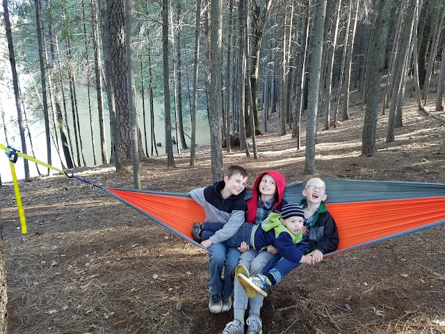 Rollins Lake