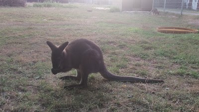 Photos of Herzberg Zoo