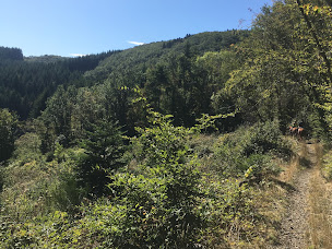 Photo n°35 de Près de mon arbre à Quincié-en-Beaujolais (Lodge)